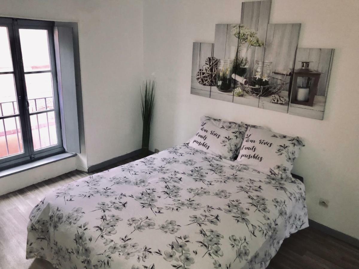 Appartement Proche Cite Medievale 4 Pers Carcassonne Exterior photo